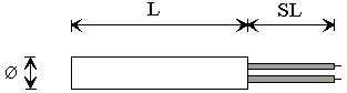 Option 30 : Inside lead connexious without head